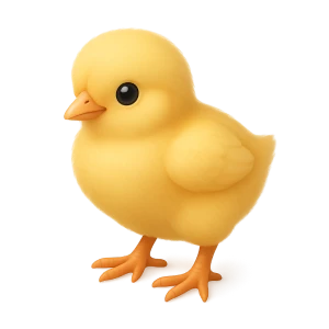 chicken